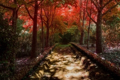 Terra Nostra Outono