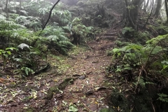 Trilho-Ribeira-do-Faial-da-Terra-02
