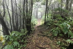 Trilho-Ribeira-do-Faial-da-Terra-04