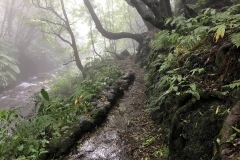 Trilho-Ribeira-do-Faial-da-Terra-06
