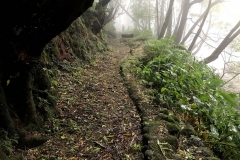 Trilho-Ribeira-do-Faial-da-Terra-07