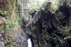 Trilho-Ribeira-do-Faial-da-Terra-13