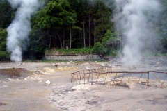 zfurnas1