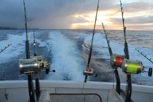 Big Game Fishing