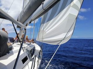 Sailzen