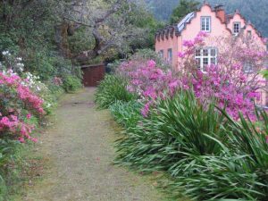 Mata Jardim José do Canto