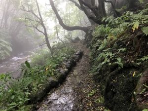Trilho Ribeira do Faial da Terra