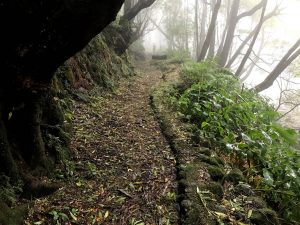 Trilho Ribeira do Faial da Terra