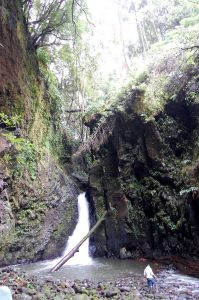 Trilho Ribeira do Faial da Terra