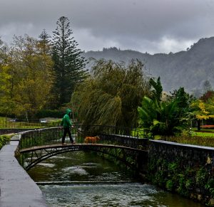 Furnas