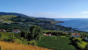 Faial
