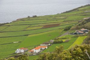 Graciosa
