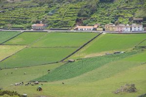 Graciosa