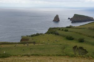 Graciosa