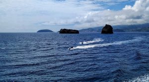 Faial