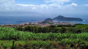 Horta
