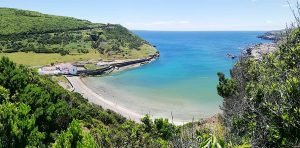 Praia Porto Pim