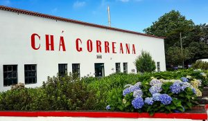 Chá Gorreana