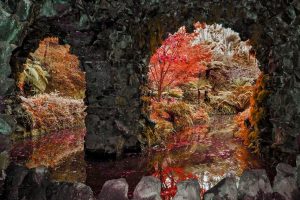 Terra Nostra Outono