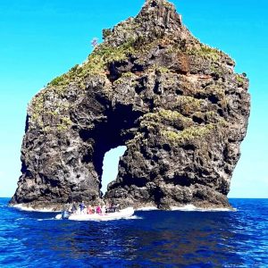 Alojamento Flores Natura