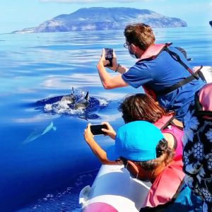 Alojamento Flores Natura