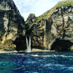 Alojamento Flores Natura