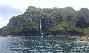 Alojamento Flores Natura