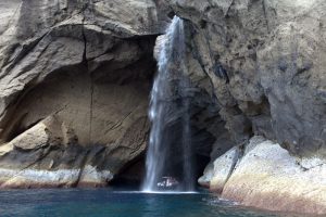 Alojamento Flores Natura