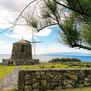 Alojamento Flores Natura