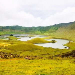 Alojamento Flores Natura