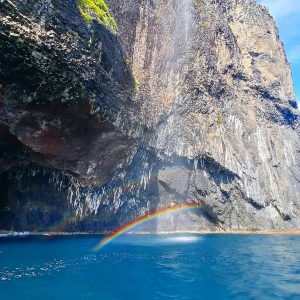 Alojamento Flores Natura