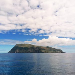 Alojamento Flores Natura