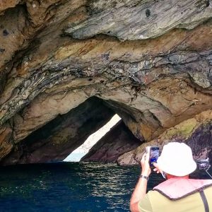 Alojamento Flores Natura